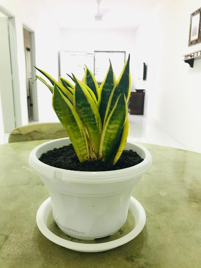 Alyn Home Batu Pahat II Wifi Coway Mohd Noor Exterior foto